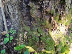 IMG_0825.jpeg