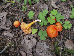 IMG_11188.jpg