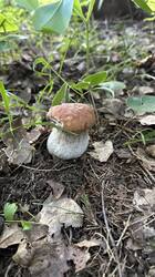 IMG_1755.jpeg