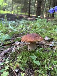 IMG_1758.jpeg