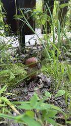 IMG_1764.jpeg