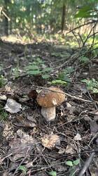 IMG_1777.jpeg