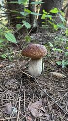 IMG_1781.jpeg