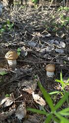 IMG_1792.jpeg