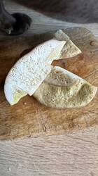 IMG_1828.jpeg