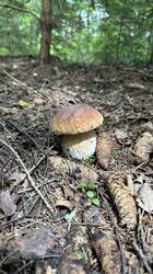 IMG_1852.jpeg