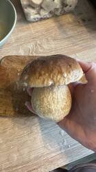 IMG_1886.jpeg