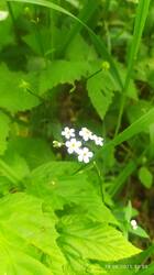 IMG_20250628_105516.jpg