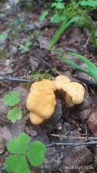 IMG_20250628_150412.jpg