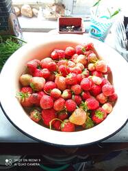 IMG_20250701_152004.jpg