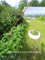 IMG_20250701_154327.jpg
