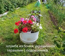 IMG_20250701_154530.jpg