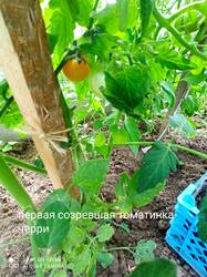IMG_20250701_154816.jpg