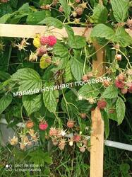 IMG_20250701_155837.jpg