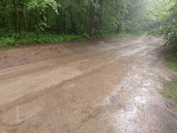 IMG_20250702_102704_790.jpg