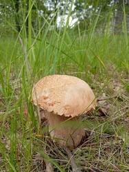 IMG_20250702_104705.jpg