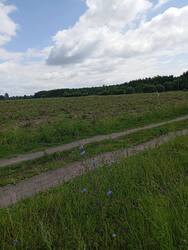 IMG_20250702_133031.jpg