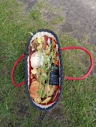 IMG_20250702_133052.jpg