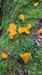 IMG_20250702_185331.jpg
