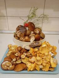 IMG_20250702_194104.jpg