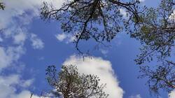 IMG_20250704_183751.thumb.jpg.dc465dc15a02786d15be89c66cbfea7e.jpg