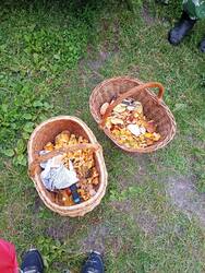IMG_20250705_094840.jpg