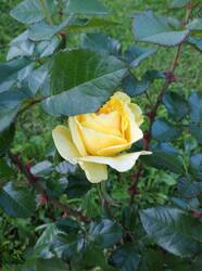 IMG_20250705_204538.jpg