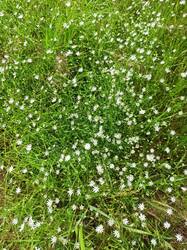 IMG_20250706_135600.jpg