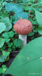 IMG_20250707_191302.jpg