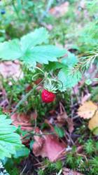 IMG_20250707_205156.jpg