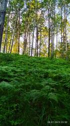 IMG_20250708_203357.jpg