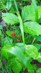 IMG_20250708_203444.jpg
