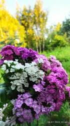 IMG_20250708_204352.jpg