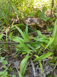 IMG_20250709_143630.jpg