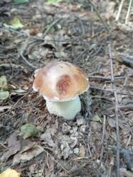 IMG_20250709_145542.jpg