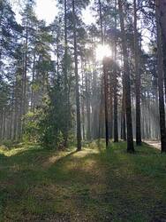 IMG_20250710_073212.jpg