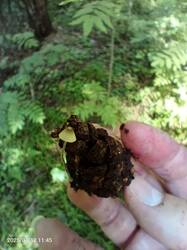 IMG_20250712_114511_844.jpg