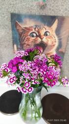IMG_20250715_204341.jpg