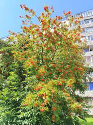 IMG_20250717_135905.jpg