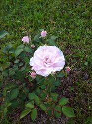 IMG_20250717_203035.jpg