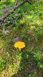 IMG_20250719_130200.jpg