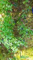 IMG_20250719_130425.jpg