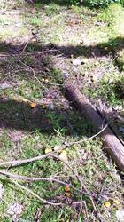 IMG_20250719_130629.jpg