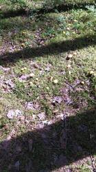 IMG_20250719_130635.jpg