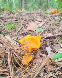IMG_20250719_131542_HDR.jpg