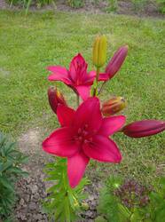 IMG_20250719_190107.jpg