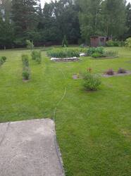 IMG_20250719_192228.jpg