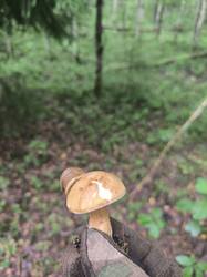IMG_20250721_144507.jpg