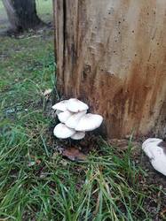 IMG_20250722_121658_015100.jpg