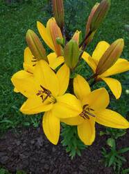 IMG_20250722_200710.jpg